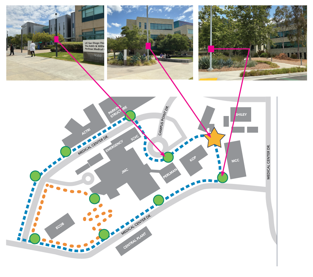 Walking Loop Group 3